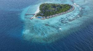 ,ویوانتا بای تاج - کرال ریف(Vivanta By Taj - Coral Reef),هتل Vivanta By Taj - Coral Reef با خدمات عالي خود پذيراي مهمانان ميباشد...,