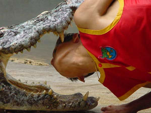 تایلند / بانکوک / مزرعه تمساح ها(Thailand / Bangkok / Crocodile Farm bangkok)