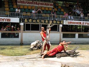 تایلند / بانکوک / مزرعه تمساح ها(Thailand / Bangkok / Crocodile Farm bangkok)