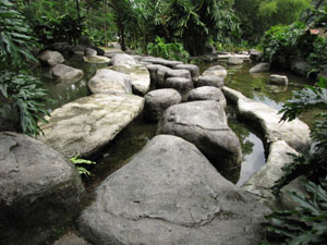 مالزی / کوالالامپور / باغ درياچه(Malaysia / Kuala lumpur / Orchard Lake)