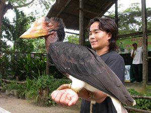 مالزی / پنانگ / باغ پرندگان(Malaysia / Penang / penang bird park)