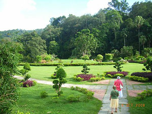 مالزی / پنانگ / پارك گياه شناسي(Malaysia / Penang / penang Botanic garden)