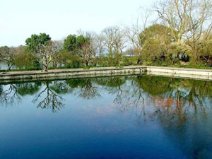,رد کارپ پوند,دریاچه ای بسیار زیبا با ماهی های دیدنی واقع در پارک Flower Harbor,