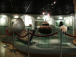 ,موزه ملی چای,تنها موزه چای در چین که دیواری به دور آن نبوده...,