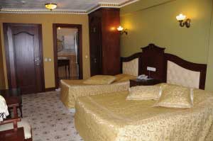 هتل رویال آنکارا
ترکیه / آنکارا(Royal Ankara Hotel
Turkey / Ankara )