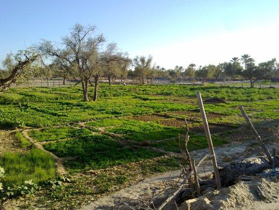 روستای توریان قشم