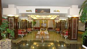 هتل لاله سرعین
ایران / سرعین(Sarayn Laleh Hotel
Iran / Sarein )