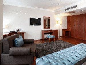 هتل گرند هالیک
ترکیه / استانبول(Grand Hotel Halic
Turkey / Istanbul )